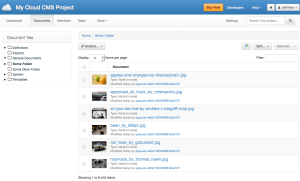 Cloud CMS Project Documents